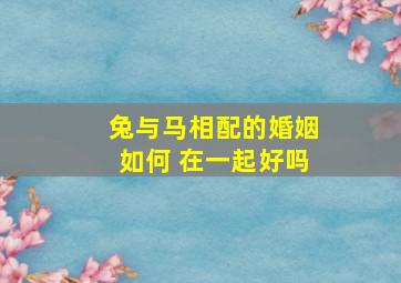 兔与马相配的婚姻如何 在一起好吗